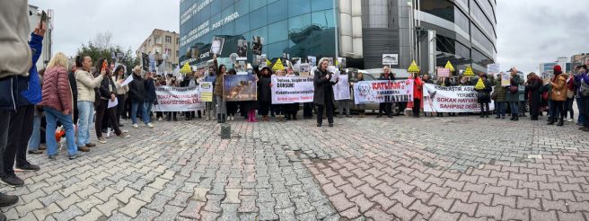 Beykoz Hayvan Hakları Eylemi: Beykoz Gönüllüleri’nin Seslenişi