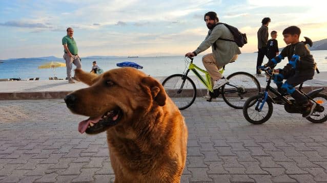 Yaşamı Paylaşıyoruz, Ya&nbsp;Hakları?