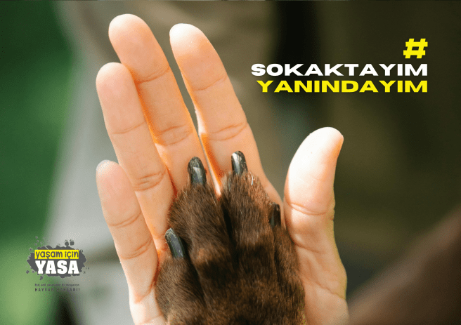 Basın Açıklaması: #SokaktayımYanındayım