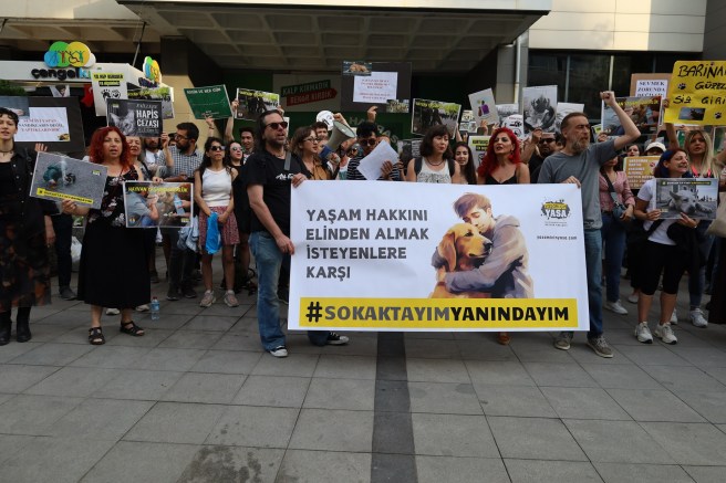 #SokaktayımYanındayım Yaşam Nöbeti: 31. Gün&nbsp;Bildirisi